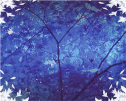 東方Project side / Fleurir 東方Project side / Fleurir Fleurir - Various artists - Touhou